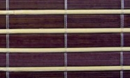 bambus_C1C
